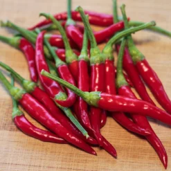 sweet-medusa-pepper-seeds