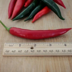 thai-prik-chi-faa-pepper-seeds