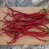 thunder-mountain-longhorn-pepper-seeds