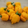yellow-scorpion-pepper-seeds