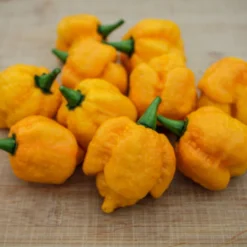 yellow-scorpion-pepper-seeds